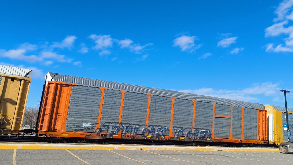 BNSF 28994 (Body) BNSF 300894 (Flat)